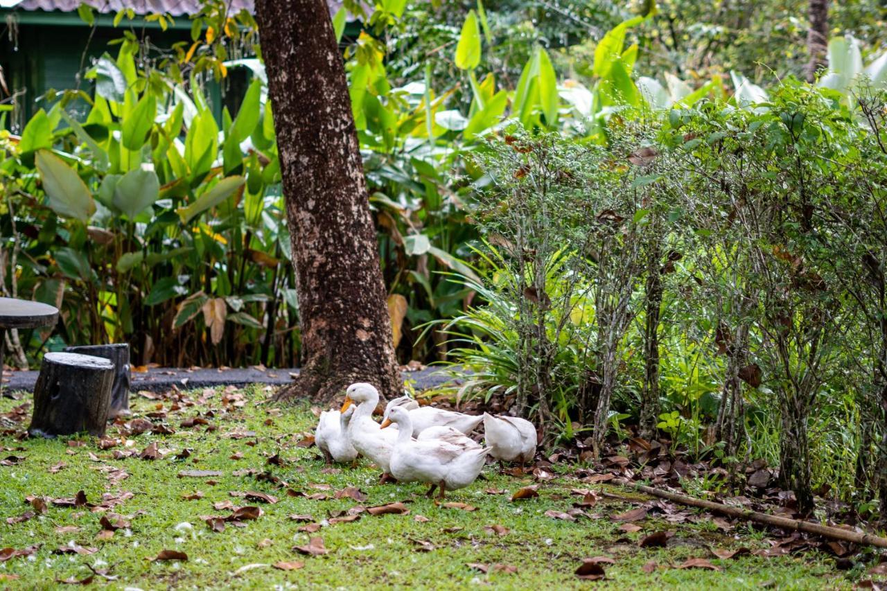 Blu Monkey Pooltara Krabi Hotel & Villas Pet Friendly Esterno foto