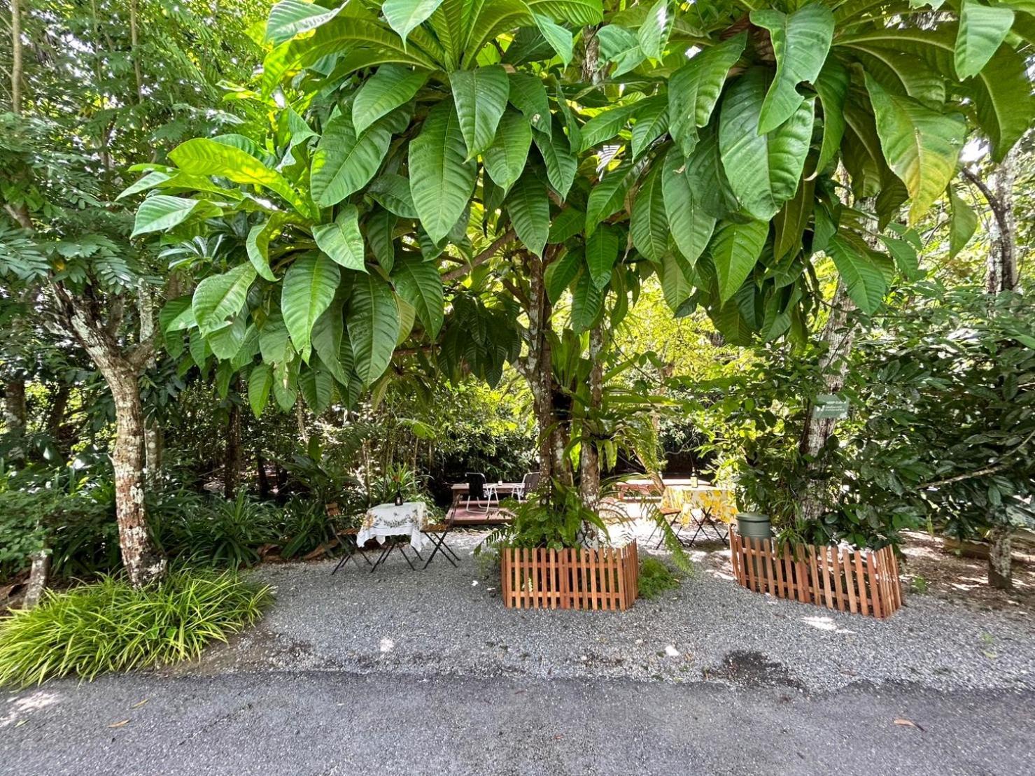 Blu Monkey Pooltara Krabi Hotel & Villas Pet Friendly Esterno foto
